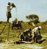 Indian agriculture